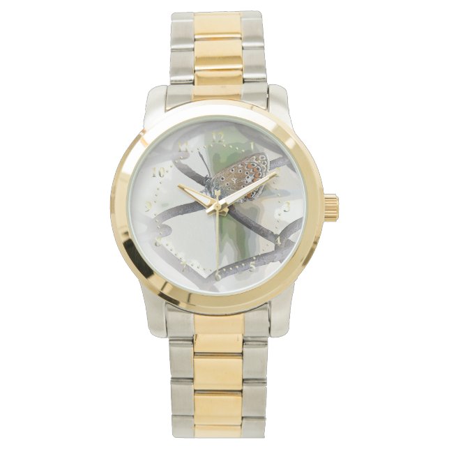 Montre papillon à la clôture (devant)