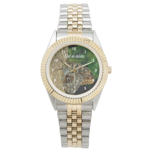 Montre Papillon d'hibou Brown sur l'arbre Nature personna (devant)