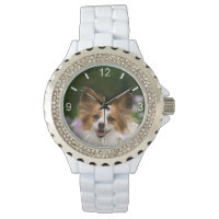 Papillon Dog Cute Romantic Portrait - cadran