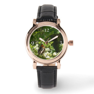 Montre Papillon-soeur de Californie en Yosemite