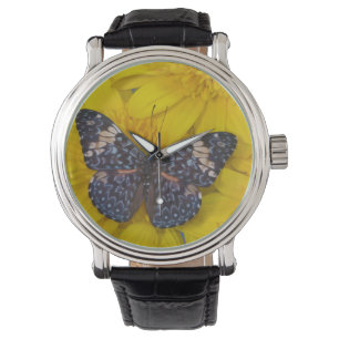 Montre Papillon sur une fleur jaune
