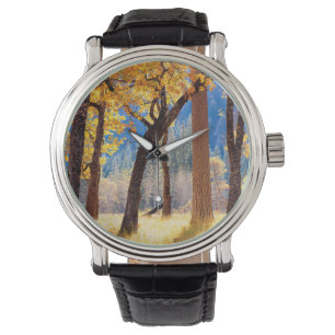 Montre Parc national de Yosemite