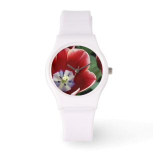 Montre Pays-Bas (aussi appelé Hollande), Lisse. Keukenhof