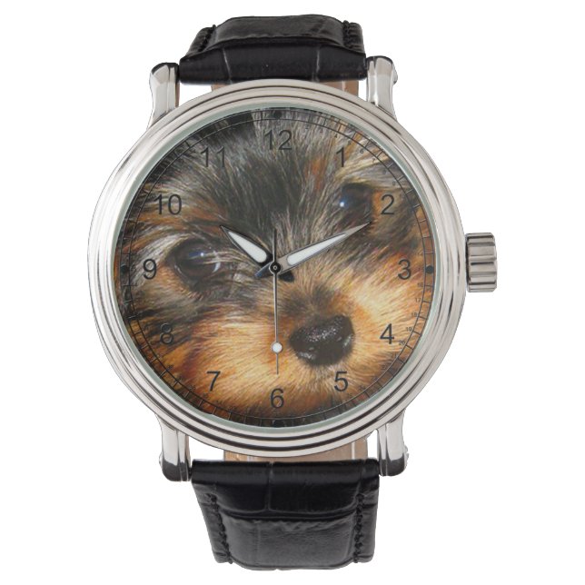 Montre Peeping Yorkie (devant)