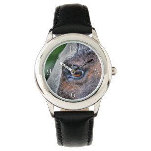 Montre Peindre Cheval Eye Equine Photo Portrait