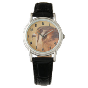 Montre Peinture américaine Kestrel - Art original pour oi