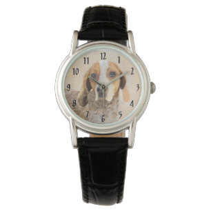 Montre Peinture de Coonhound anglo-américain - Art canin