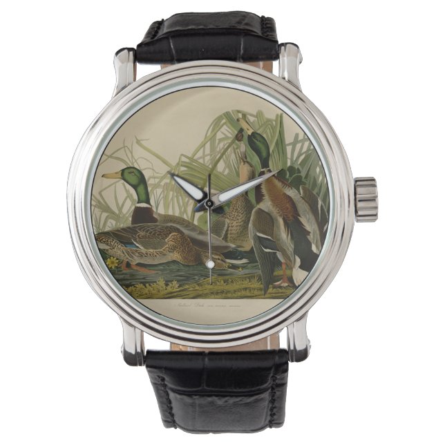 Montre Peinture d'oiseaux de Mallard Duck Audubon (devant)