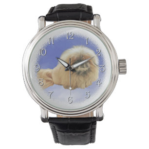 Montre Pékingais sur fond bleu