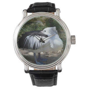 Montre Pelican Cat Napping Se Levant,