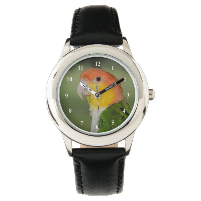 Montre Perroquet caïque à ventre blanc à l'extérieur (devant)