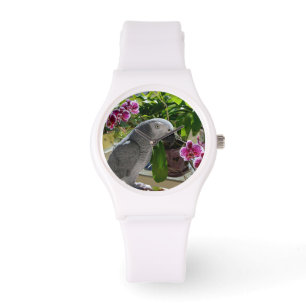 Montre Perroquet de gris africain avec des orchidées