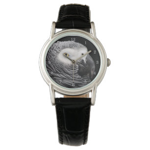 Montre Perroquet gris d'Afrique
