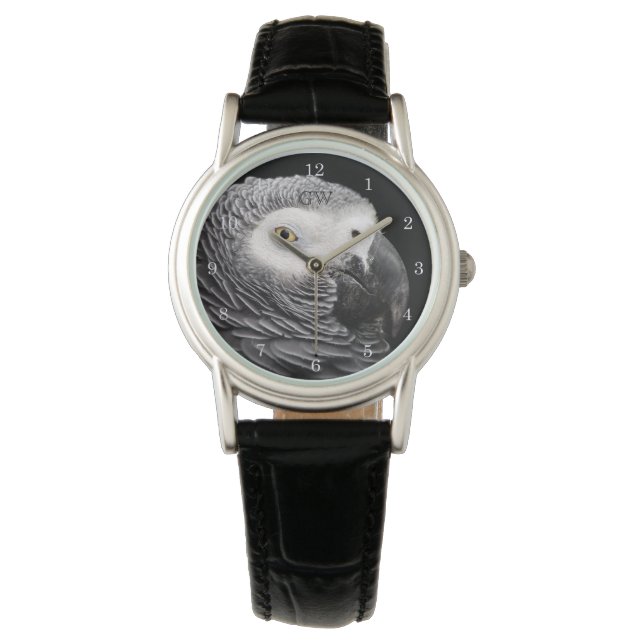 Montre Perroquet gris d'Afrique (devant)