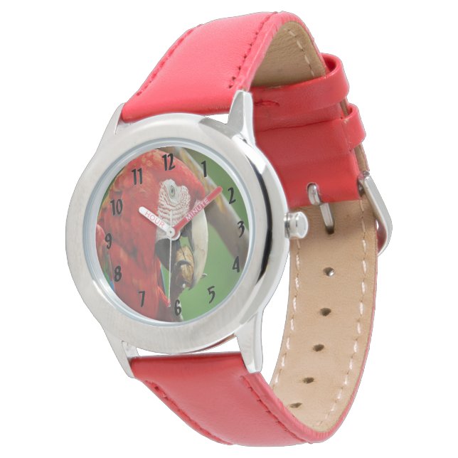 Montre Perroquet rouge tropical (Incliné)