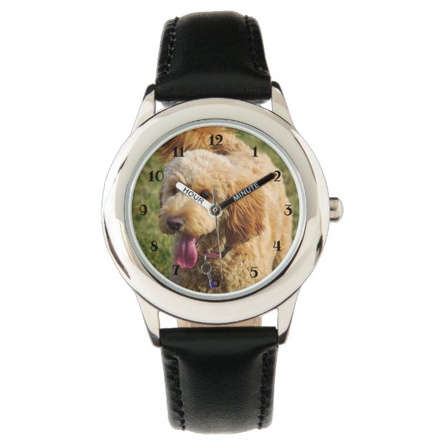 Montre Petit chien Goldendoodle (devant)