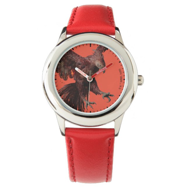 Montre Phoenix Flying Graphic (devant)