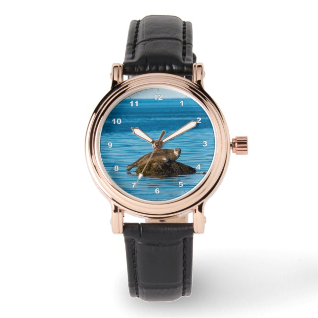 Montre Phoque commun (Recto)