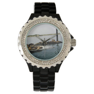 Montre Phoques du port, Morro Bay, Californie