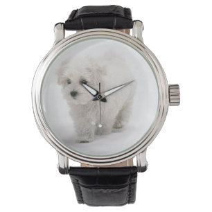Montre Photo de Bichon Frise
