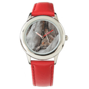 Montre photo d'une coccinelle watch