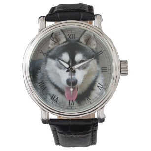Montre Photographie de chien de Malamute d'Alaska