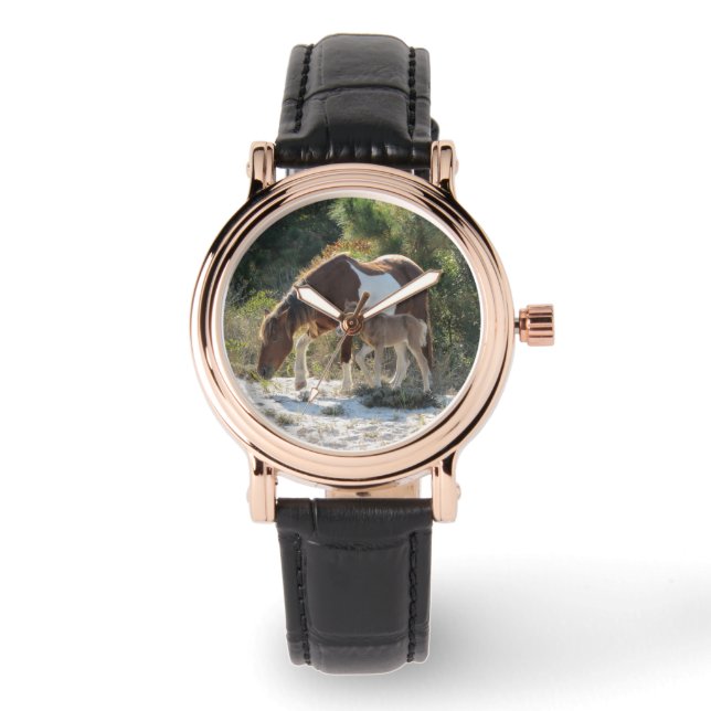 Montre Photos du cheval et du poulain (Recto)
