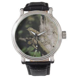 Montre Phylloscopus collybita