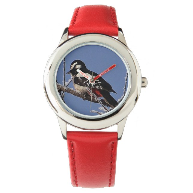 Montre Pic à poignets (devant)