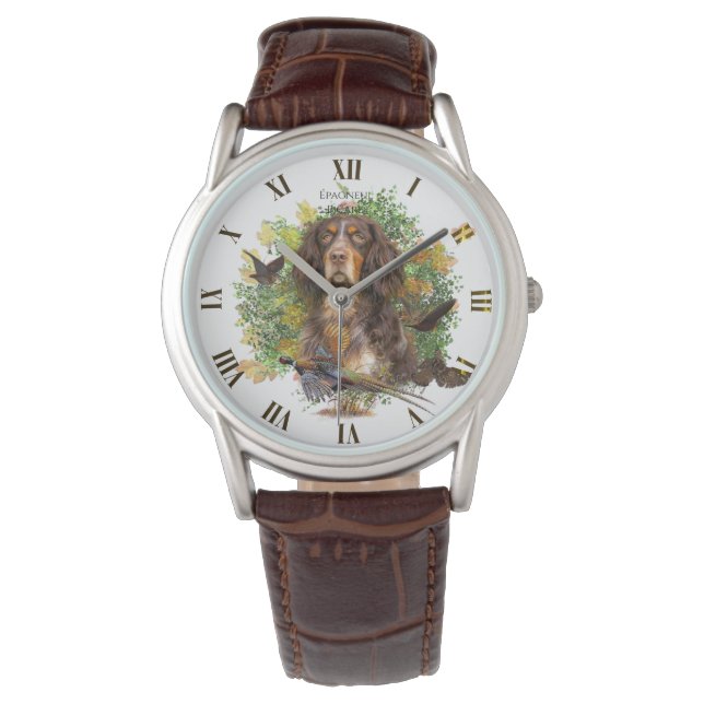 Montre Picardy Spaniel, Épagneul Picard (devant)