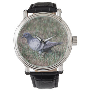 Montre Pigeon