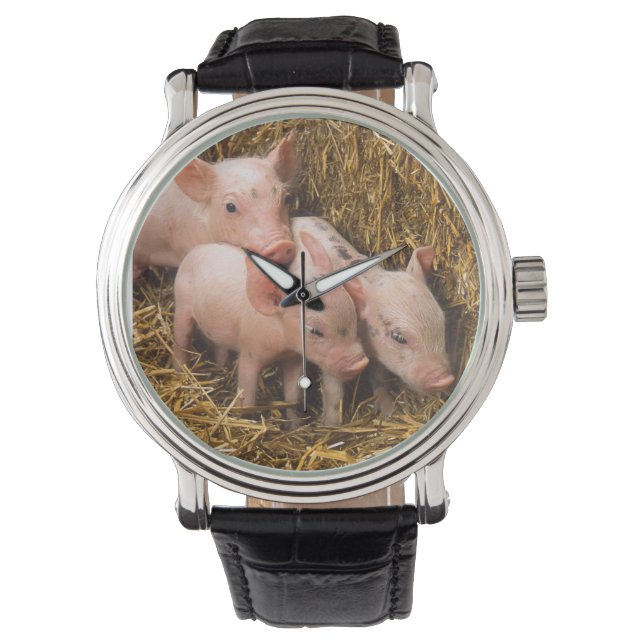 Montre Piglets (devant)
