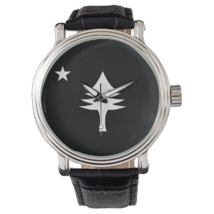 Montre Pin et étoile 1901 drapeau de l'état du Maine