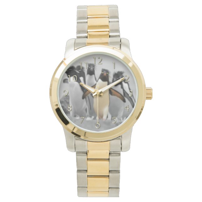 Montre Pingouins de Rockhopper (devant)