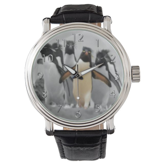 Montre Pingouins de Rockhopper (devant)