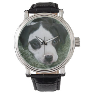 Montre Pit Bull Puppy (Angie)