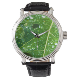 Montre Pluies sur la feuille de Papaya Vert