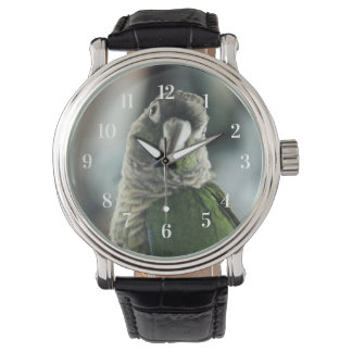 Montre Plus de faux hérisson