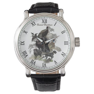 Montre  Pointer à poil dur allemand