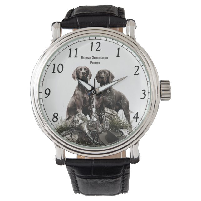 Montre Pointeur à poils courts allemand (devant)