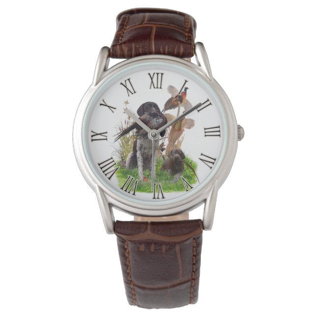 Montre Pointeur à poils courts allemand (devant)