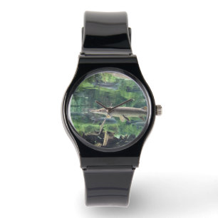 Montre Poisson de porc eau claire