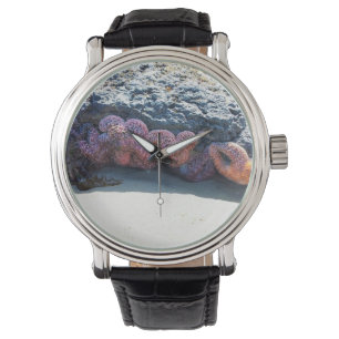Montre Poisson étoilée colorée à Bob Creek, OU