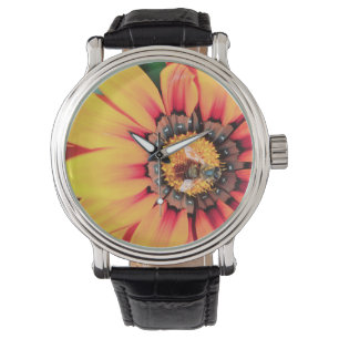 Montre Pollen de close-up extrême de A Bee Collecting