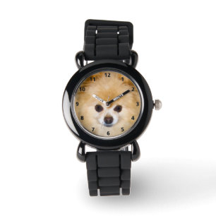 Montre Pomeranian Dog