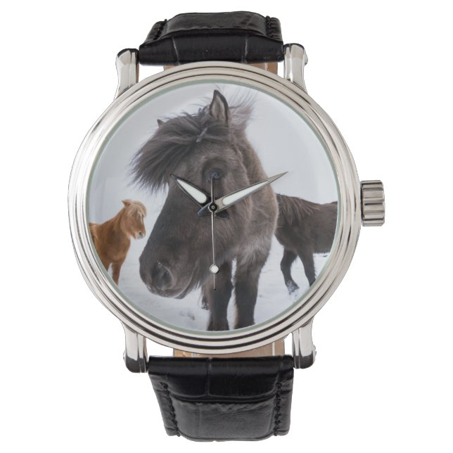 Montre portrait de cheval islandais, Islande (devant)