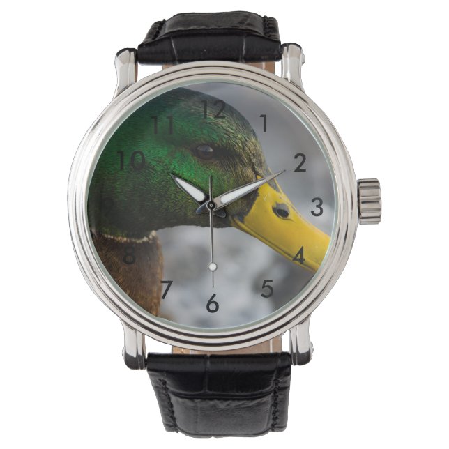 Montre Portrait de Male Mallard (devant)