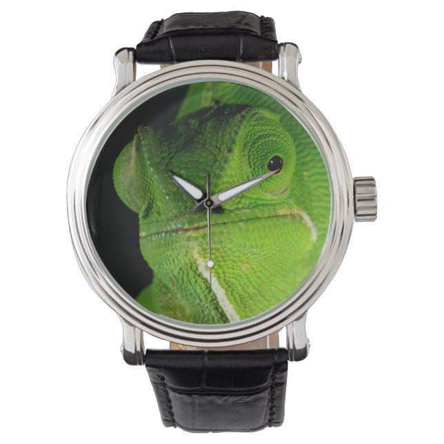 Montre Portrait Du Chameleon À Cou-Volant (devant)