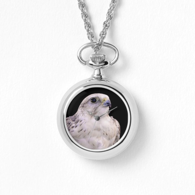 Montre Portrait signé d'un faucon de Saker curieux (Recto)