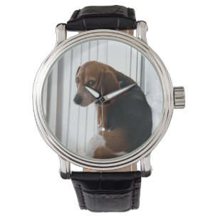 Montre Position